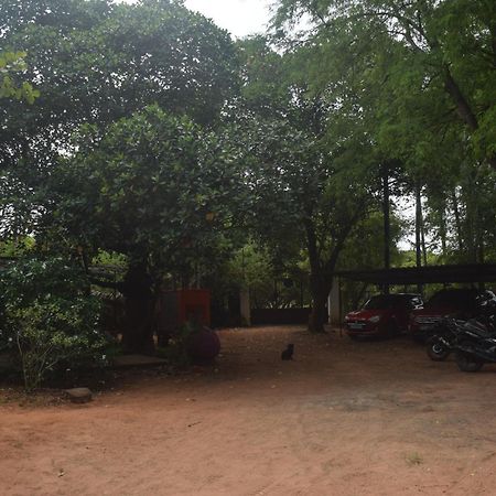 Hotel Travellers Crib Auroville Zewnętrze zdjęcie