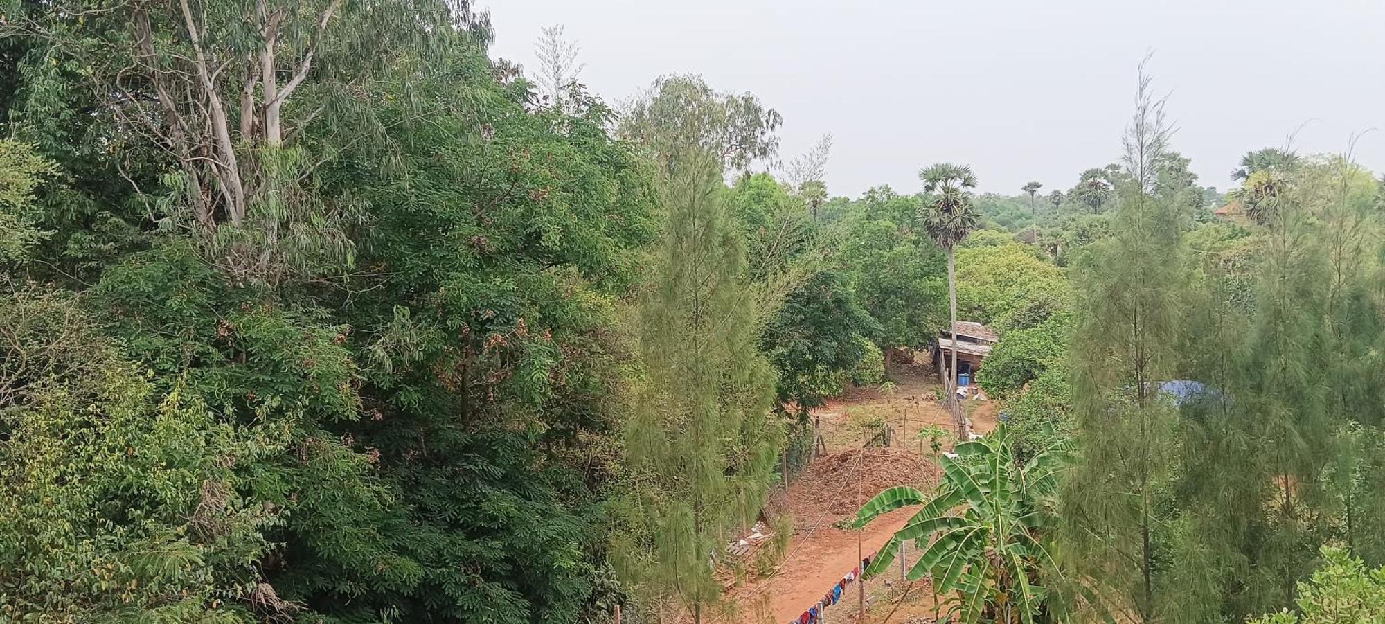Hotel Travellers Crib Auroville Zewnętrze zdjęcie