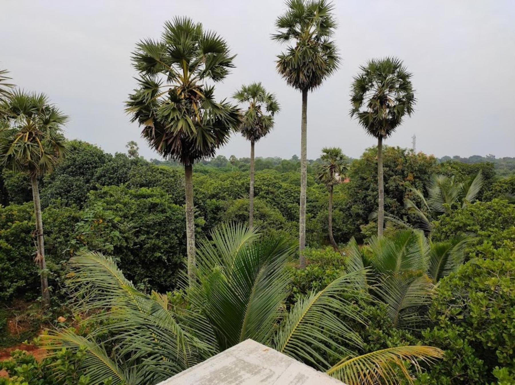 Hotel Travellers Crib Auroville Zewnętrze zdjęcie