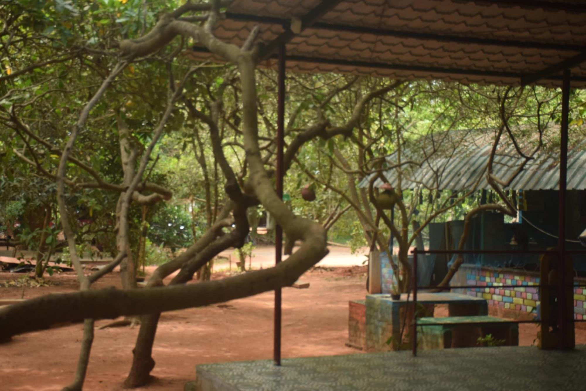 Hotel Travellers Crib Auroville Zewnętrze zdjęcie